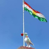 کورد آوا