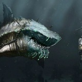 SHARK AIRDROP