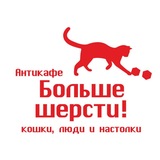 Котокафе Больше шерсти, Екатеринбург