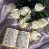معا نرتقي 💕 ✨