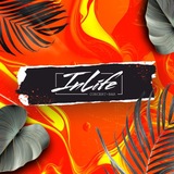 INLIFE CONCERT-BAR