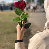 مملـكـــ 🎁 ــــة الخواطر