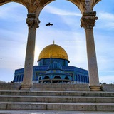 فِـلَسْـ𓂆ـطِين♡🇵🇸طمئن قلبك