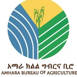 Amhara Bureau of Agriculture2
