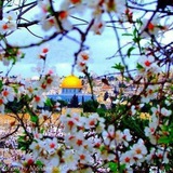 ادعُ إِلَىٰ سَبِيلِ رَبِّكَ 🌸