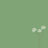 ستزهُر 🌻