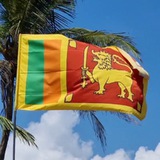 ШРИ-ЛАНКА ЭКСКУРСИИ. НОВОСТИ. 🌴 Nashalanka_srilanka