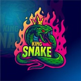 King Snake (Secret Bets)