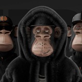 Alpha Apes