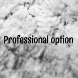 PROFESSIONAL OPTION |