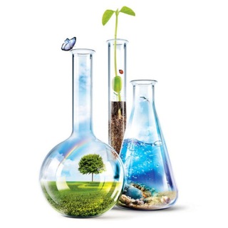 Bsc,msc chemistry vnsguππ