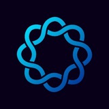 Delphi Digital Research