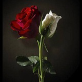 عبارات راقيه. 😍 😍 2