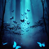 🦋 پرواز را باورکن 🦋