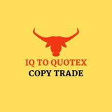 IQ TO QUOTEX COPY TRADE PROGRAM