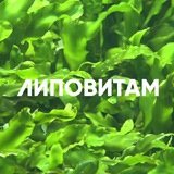 Липовитам 🔆