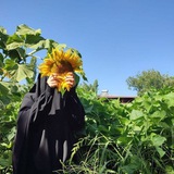أثرُ الفراشةِ لا يُرى 🦋