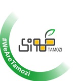 سازمان مردم نهاد طموزی