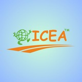 🎓 Освіта та Кар'єра за кордоном | ICEA