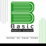 BMS.EMBRYOLOGY ✔