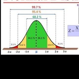 Statistics Expert