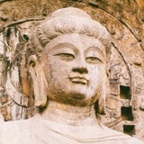 契丹免费直播