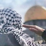 ياسر محمود الحاج 🇵🇸