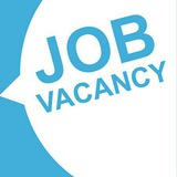 allinonemainchanneljobs