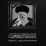 الشاعر محمد حسن ضيغم