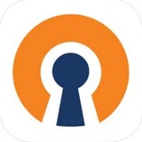 Last Open VPN