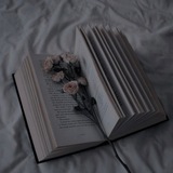 Електронні книги 📚 ✨