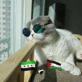 😂 عالم الضحك 😂