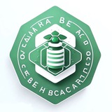 🇵🇸 🇵🇸 Bee pharmacist academy