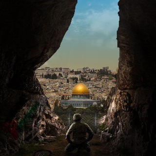 اضافات تمريض 💙 🇵🇸