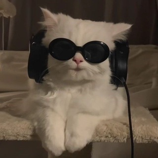 music ๐
