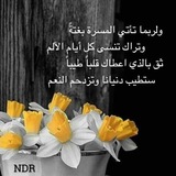 ولربما ..؟!