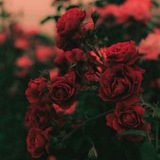 كتابات مؤجلة ♥️