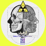 أرشيف محاضرات الأشعة