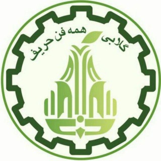 گلابی همه فنحریف
