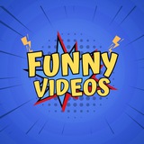 Funny Videos
