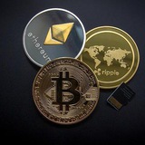 Cockroach - Crypto Degens