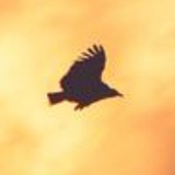 PhotoStock