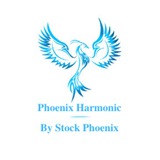 Phoenix Harmonic Testimonials