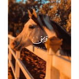 «سنرَحل ويبّقىٰ الأثـرَ»