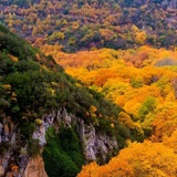 عبارات نرجسيه