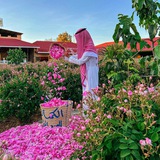 𝗗𝗮𝗿𝘂𝗹 𝗛𝗮𝗻𝗯𝗮𝗹𝗶𝘆𝗮 𝗹 دار الحنبلية
