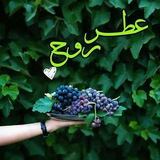 عَطْــ 🍃 ـږ ږوٌـح