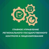 Главное управление госконтроля
