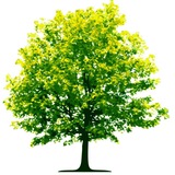 Environment Notes EVS Notes Study Material PDF Previous Year Question Paper
