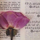 فســتق.